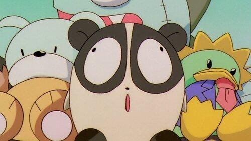 Sakura and the Panda and the Cute Store Sakura and the Panda and the Cute Store
