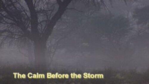 The Calm Before the Storm The Calm Before the Storm
