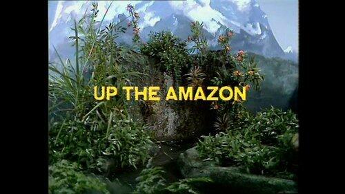 The Amazon The Amazon