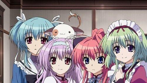 Your Colored Maid Your Colored Maid