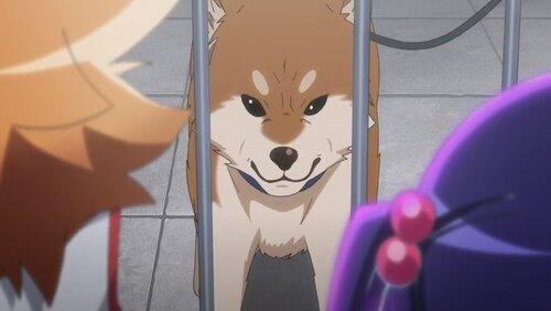 I Want to Be Popular / First Errand / Life as an Idol I Want to Be Popular / First Errand / Life as an Idol