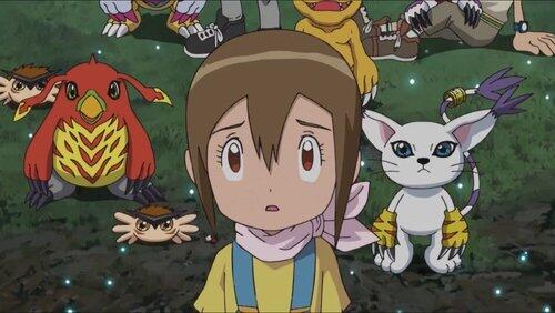 Hikari and the Moving Forest Hikari and the Moving Forest