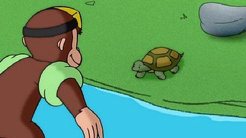 Curious George Takes a Dive