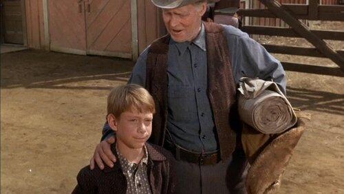 Old Cowboy Old Cowboy