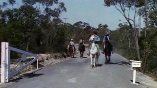 Round Up Round Up