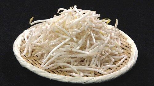 BEAN SPROUTS BEAN SPROUTS