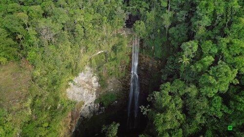 Borneo: Dark Shadow Borneo: Dark Shadow