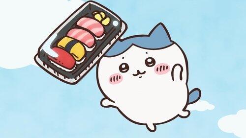 Pack Sushi / Sushi Seller Pack Sushi / Sushi Seller