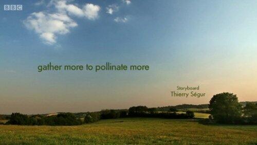 gather more to pollinate more gather more to pollinate more