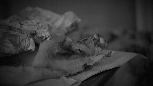 The Jersey Devil: Monster in the Pines The Jersey Devil: Monster in the Pines