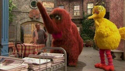 Snuffle Sneeze Snuffle Sneeze