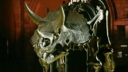 Dinosaur