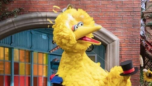 Measuring Big Bird Measuring Big Bird