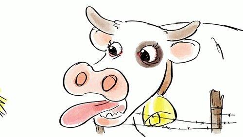 L'ophtalmologie chez les animaux L'ophtalmologie chez les animaux