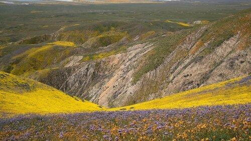 Rivers of Gold Rivers of Gold