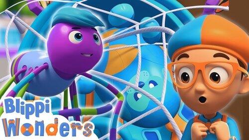 Spider Webs! Spider Webs!