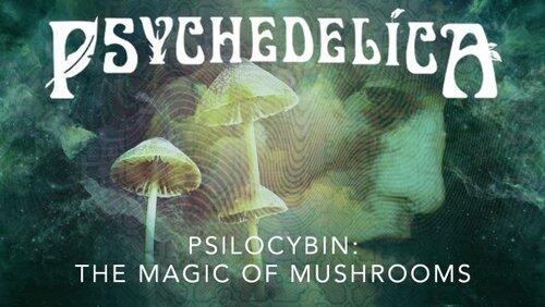 Psilocybin: The Magic of Mushrooms Psilocybin: The Magic of Mushrooms