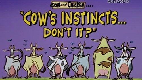 Cow's Instincts...Don't It? Cow's Instincts...Don't It?