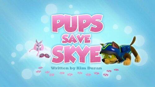 Pups Save Skye Pups Save Skye