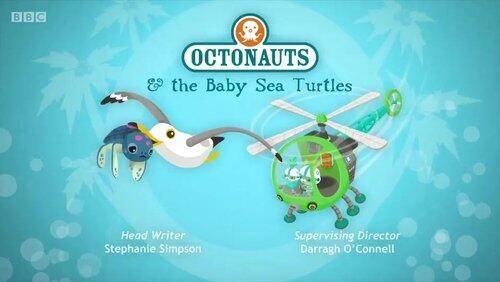 The Baby Sea Turtles The Baby Sea Turtles