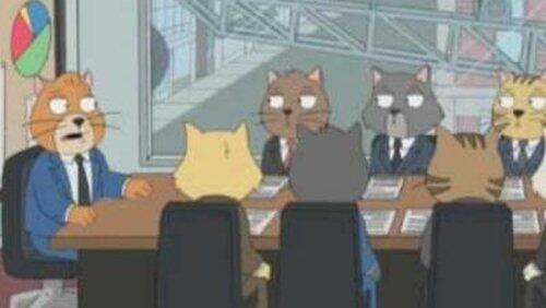 Cat Staff Meeting Cat Staff Meeting