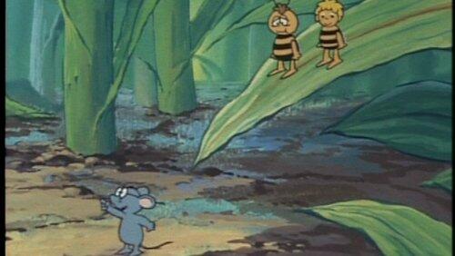 The Mouse in the Bottle The Mouse in the Bottle