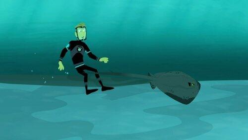 The Vanishing Stingray The Vanishing Stingray