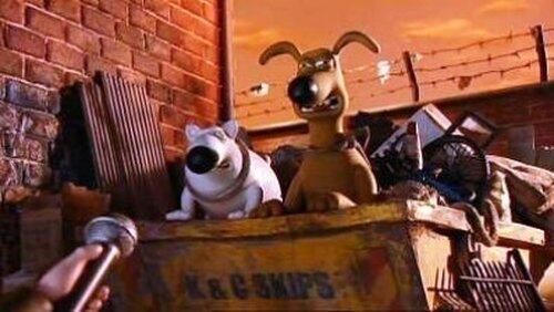 Cats or Dogs? Cats or Dogs?