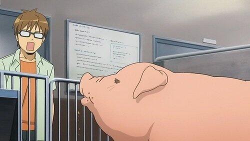 Hachiken Hesitates Over Pork Bowl Hachiken Hesitates Over Pork Bowl