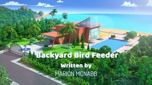 Backyard Bird Feeder Backyard Bird Feeder
