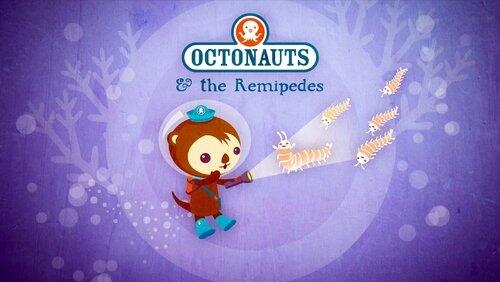 The Remipedes The Remipedes