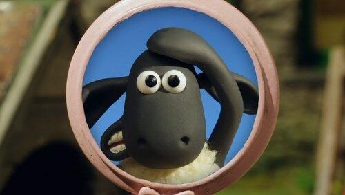 Baa-d Hair Day Baa-d Hair Day