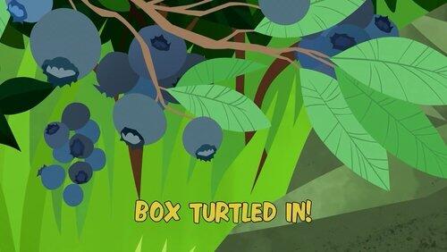 Box Turtled In! Box Turtled In!