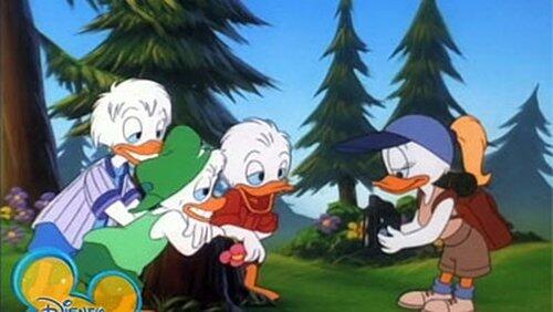 Take My Duck, Please! Take My Duck, Please!