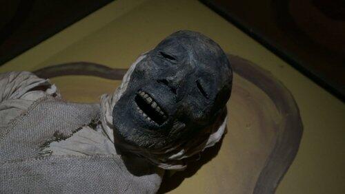 Curse of the Mummy Curse of the Mummy