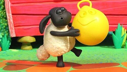 Timmy's Bouncy Friend Timmy's Bouncy Friend