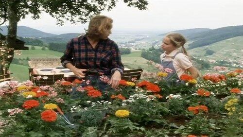 Der Versager Der Versager