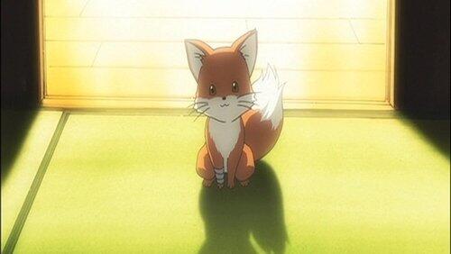 Lullaby of a Fox Cub Lullaby of a Fox Cub