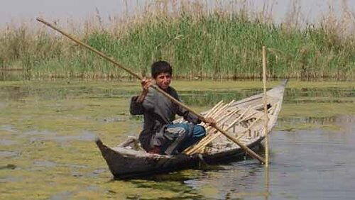Miracle in the Marshes of Iraq Miracle in the Marshes of Iraq