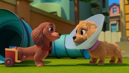 Pups on Parade Pups on Parade