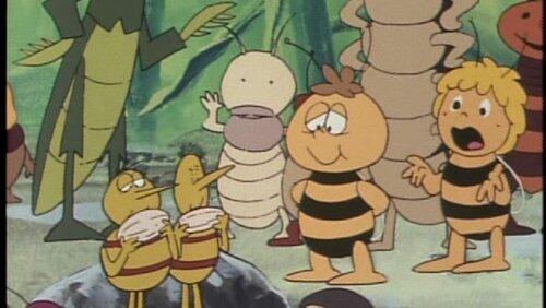 Fleas in the Field Fleas in the Field