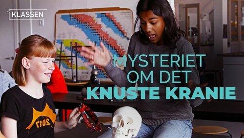 The mystery of the broken skull The mystery of the broken skull