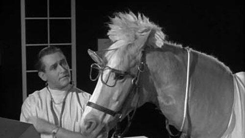 Doctor Ed Doctor Ed