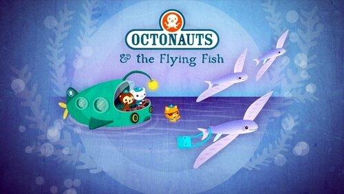 The Flying Fish The Flying Fish
