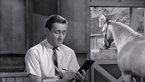 Wilbur Post, Honorary Horse Wilbur Post, Honorary Horse