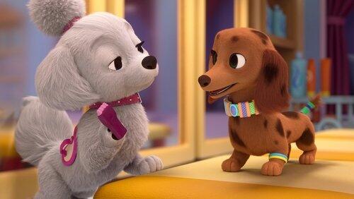 Do the Doxie Do the Doxie