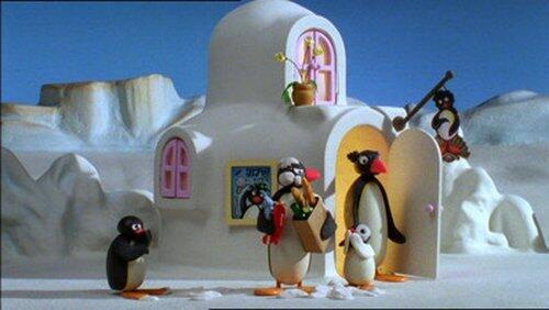 Pampering Pingu Pampering Pingu