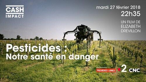 CASH IMPACT : Pesticides : notre santé en danger CASH IMPACT : Pesticides : notre santé en danger