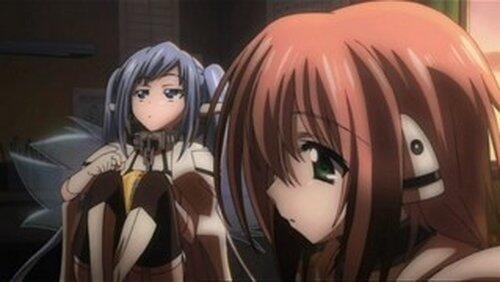 The 'Cute' New Girls The 'Cute' New Girls