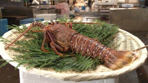 Ise-Ebi Ise-Ebi